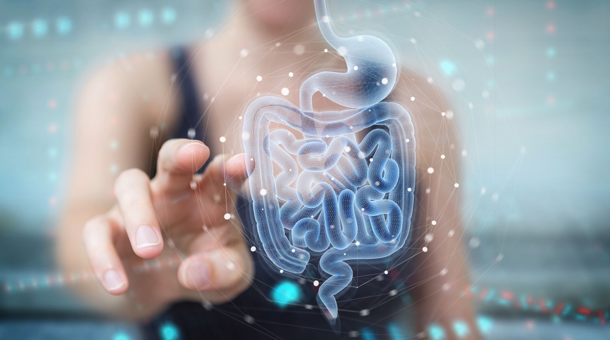 Gut Microbiome Fundamentals