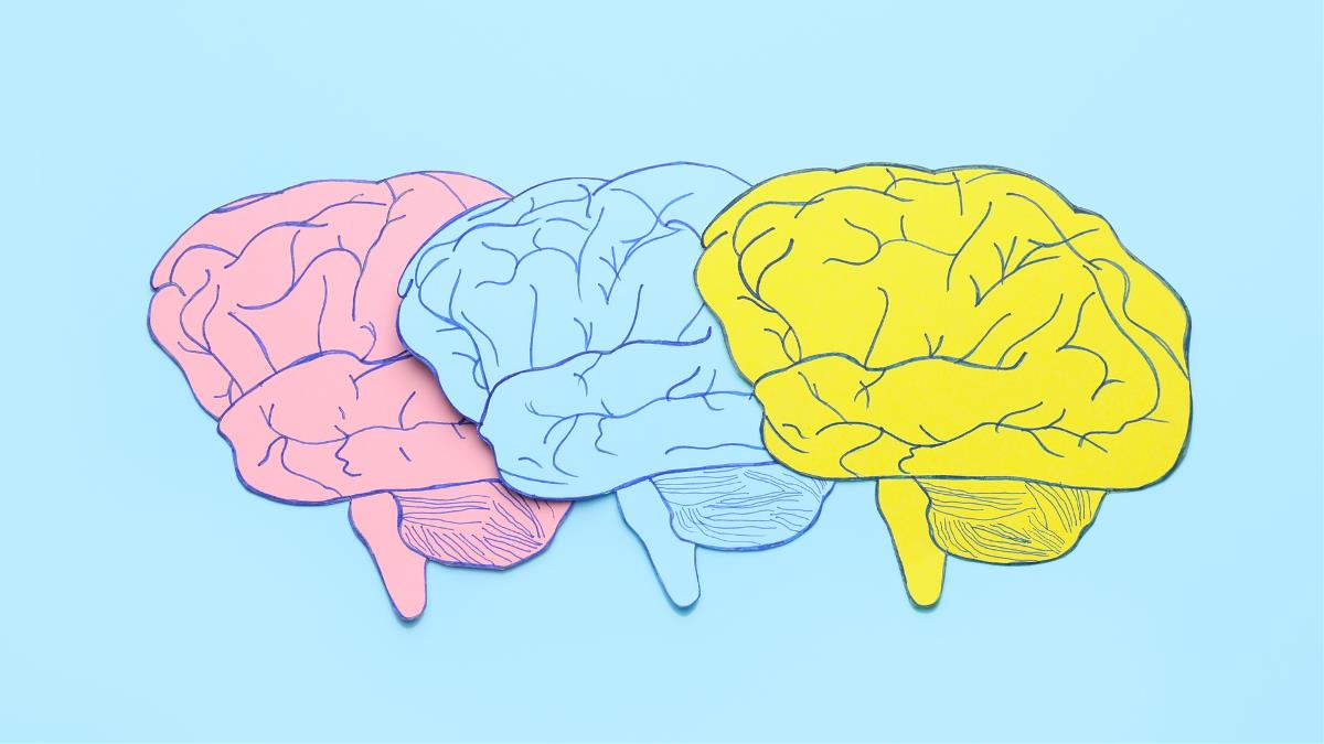 An Introduction to Functional Somatic Disorders